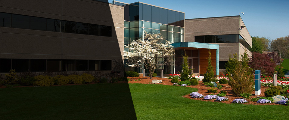 Ledyard Landscapers