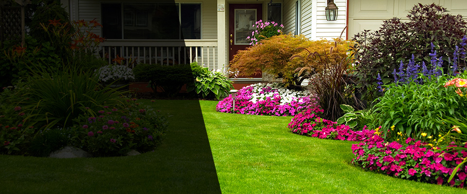 Ledyard Landscapers