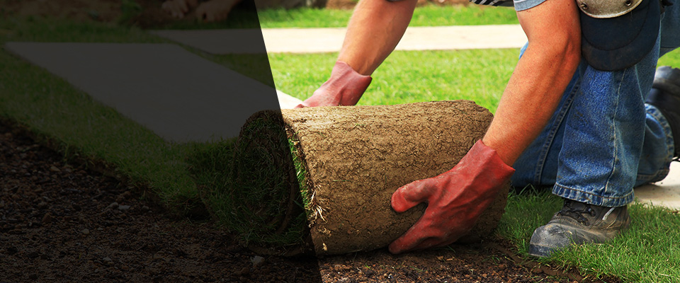 Ledyard Landscapers